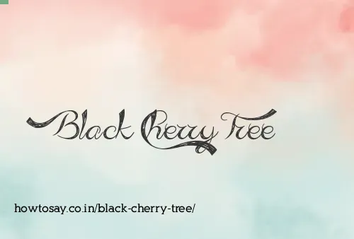 Black Cherry Tree