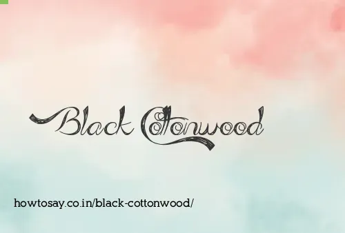 Black Cottonwood