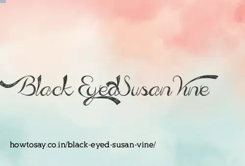 Black Eyed Susan Vine