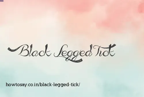 Black Legged Tick