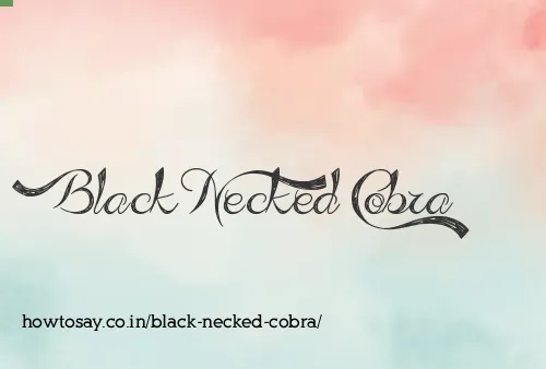 Black Necked Cobra