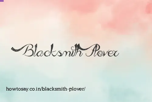 Blacksmith Plover