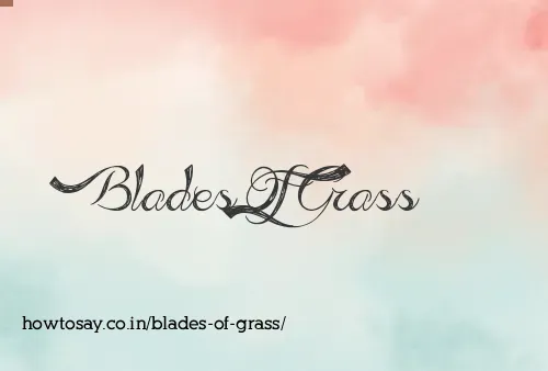 Blades Of Grass