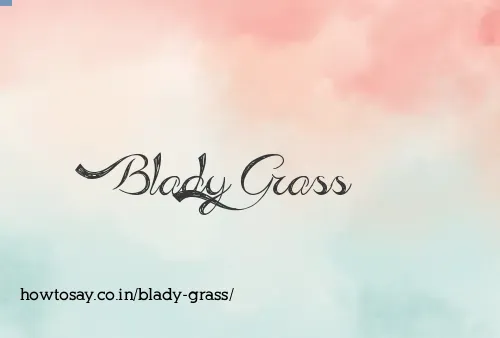 Blady Grass