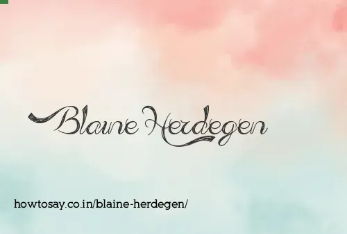 Blaine Herdegen