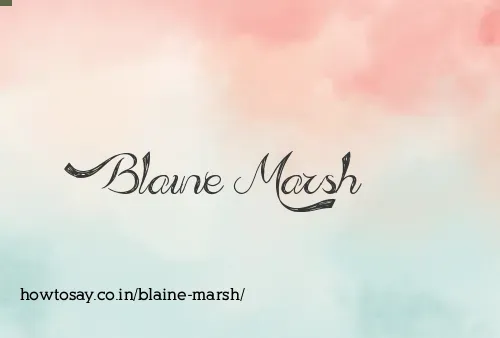 Blaine Marsh