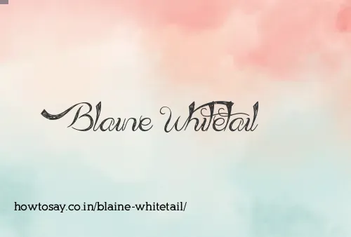 Blaine Whitetail