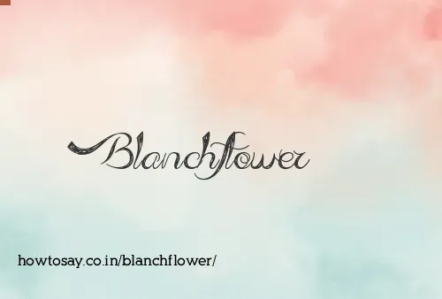 Blanchflower