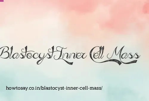 Blastocyst Inner Cell Mass
