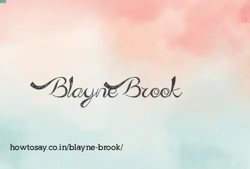 Blayne Brook
