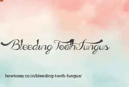 Bleeding Tooth Fungus