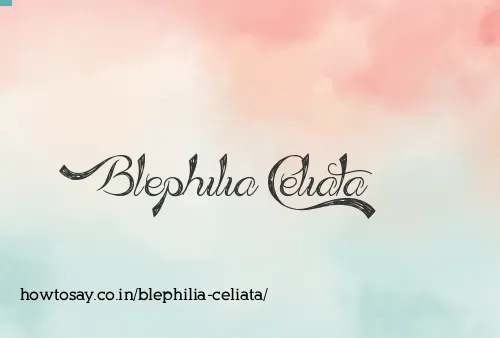 Blephilia Celiata