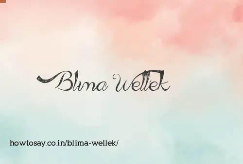 Blima Wellek