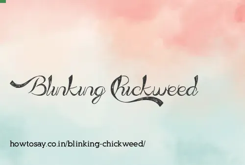 Blinking Chickweed