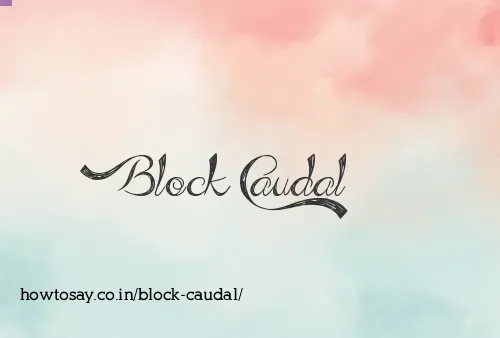 Block Caudal
