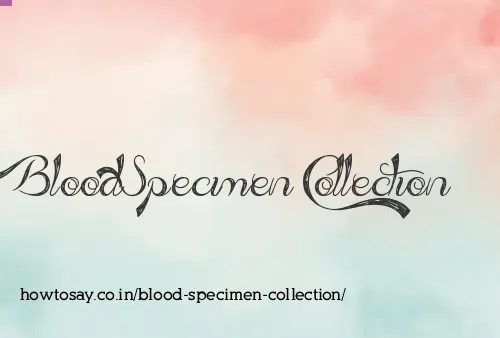 Blood Specimen Collection