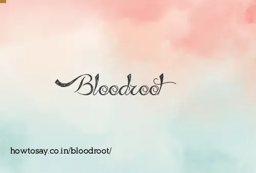 Bloodroot