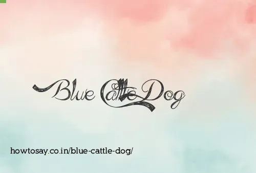 Blue Cattle Dog
