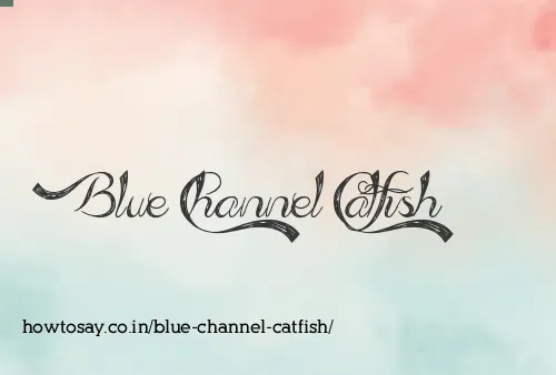 Blue Channel Catfish