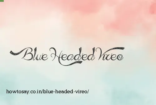 Blue Headed Vireo