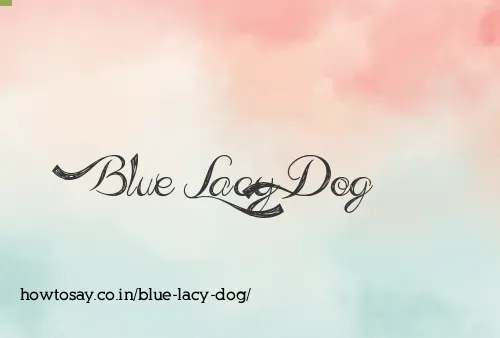 Blue Lacy Dog