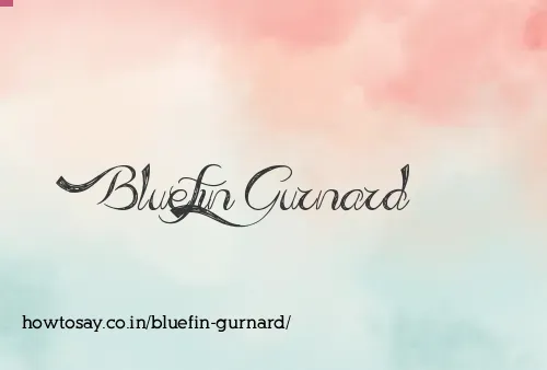 Bluefin Gurnard