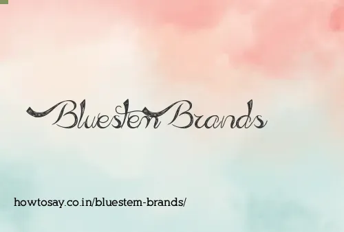Bluestem Brands
