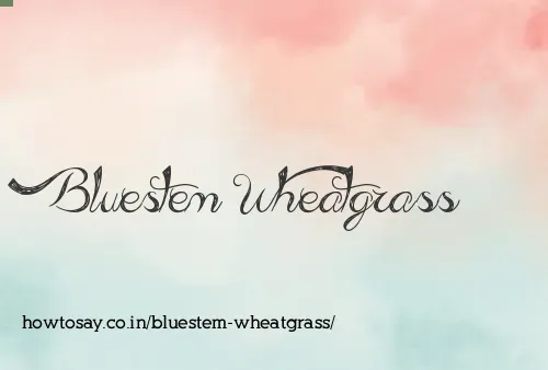 Bluestem Wheatgrass