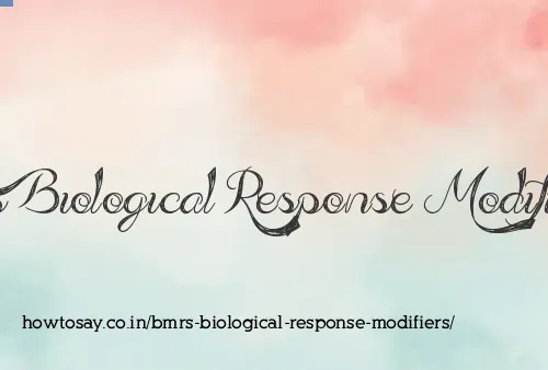 Bmrs Biological Response Modifiers