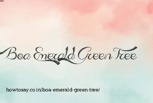 Boa Emerald Green Tree