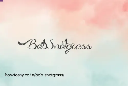 Bob Snotgrass