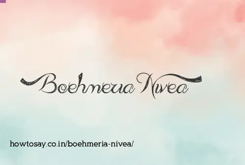 Boehmeria Nivea