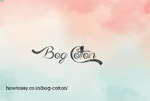 Bog Cotton