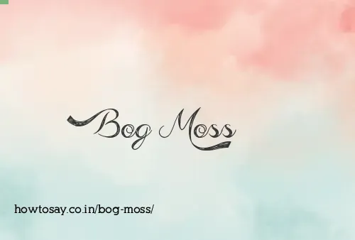 Bog Moss
