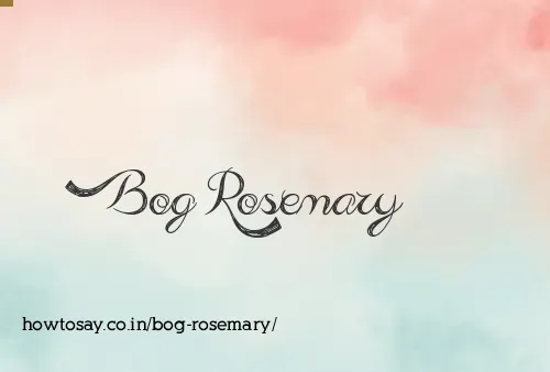 Bog Rosemary