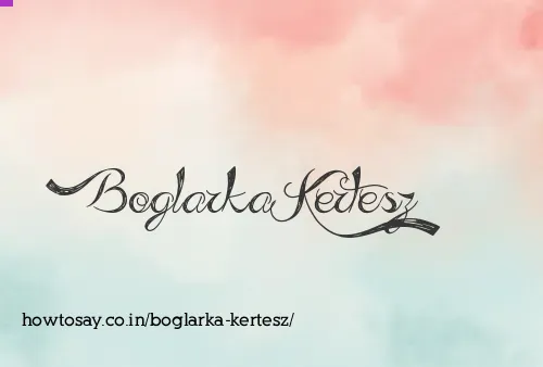 Boglarka Kertesz