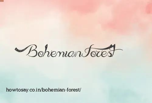 Bohemian Forest