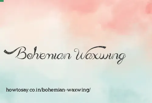 Bohemian Waxwing