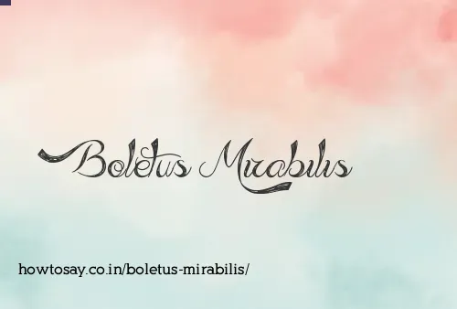 Boletus Mirabilis