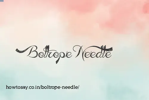 Boltrope Needle