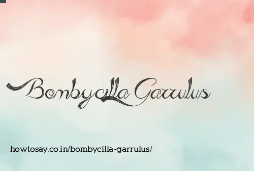 Bombycilla Garrulus
