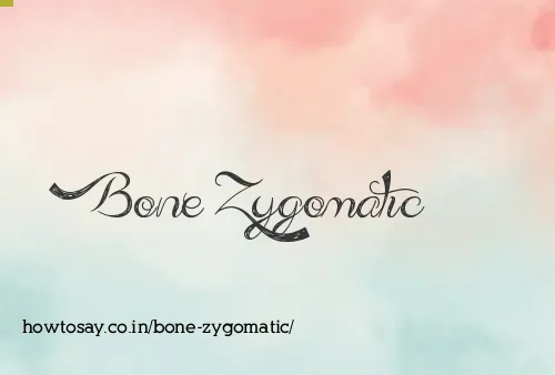 Bone Zygomatic