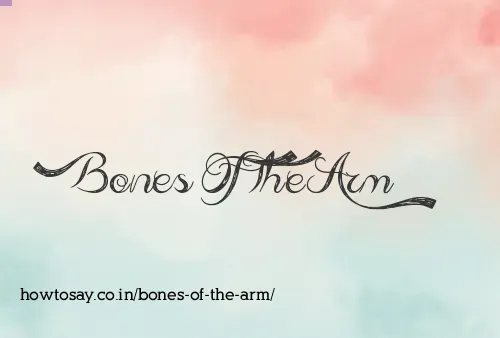 Bones Of The Arm