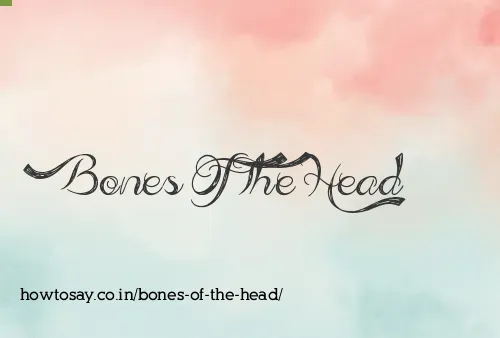 Bones Of The Head