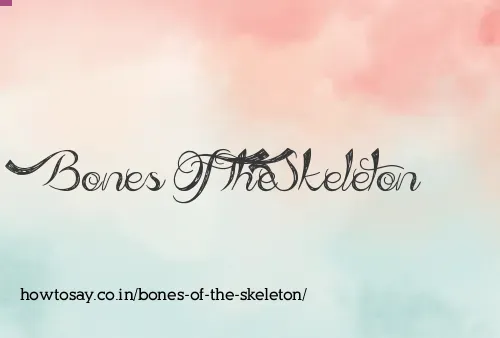 Bones Of The Skeleton