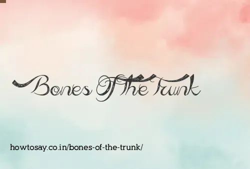 Bones Of The Trunk