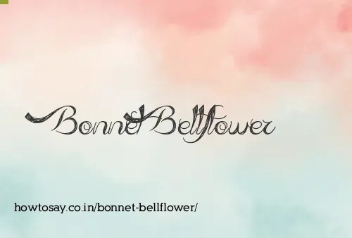 Bonnet Bellflower