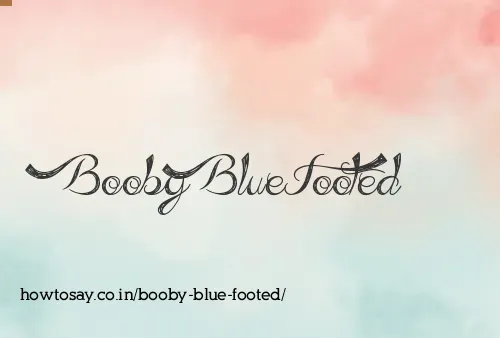 Booby Blue Footed