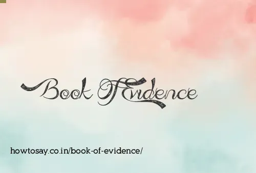 Book Of Evidence