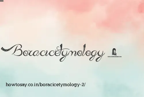 Boracicetymology 2